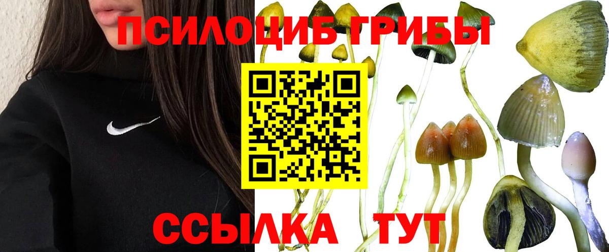 Псилоцибиновые грибы прущие грибы Кудымкар